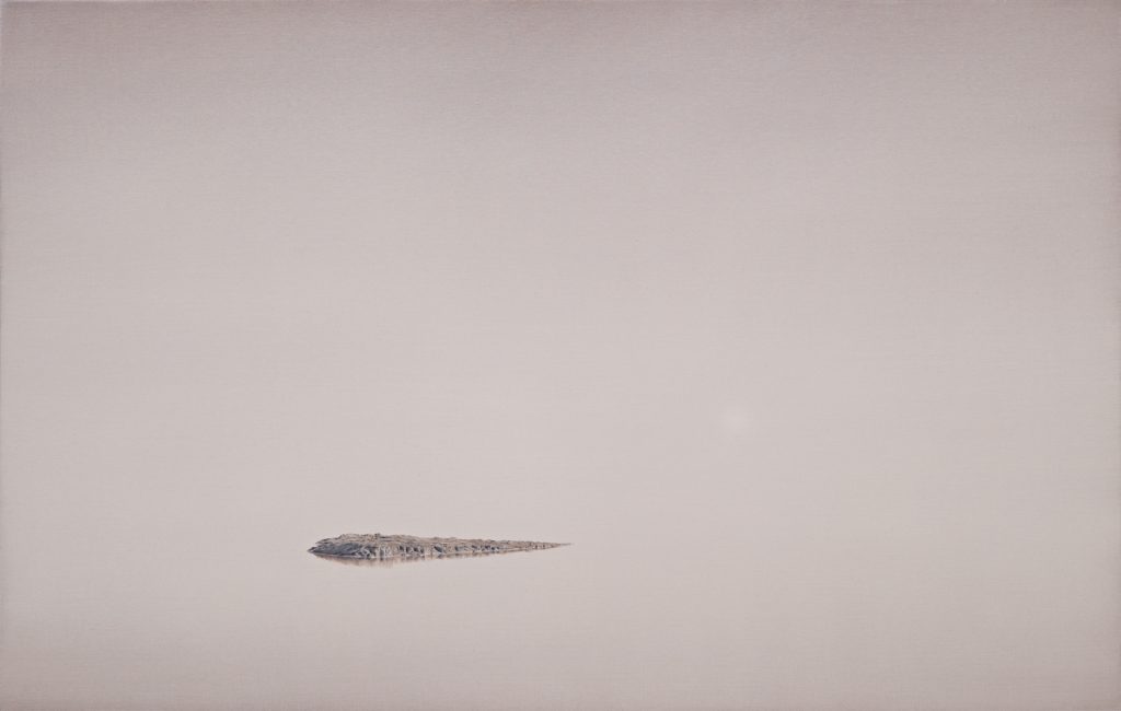 Echo, 2010, oil on canvas, 76×120