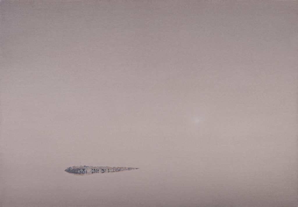 Echo, 2010, oil on canvas, 76×110