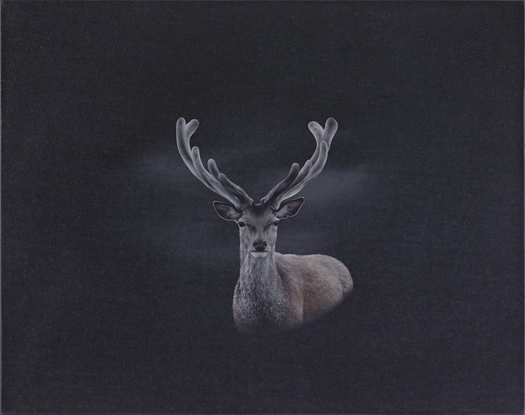 Untitled, 2013, Oil on canvas, 47x60 cm